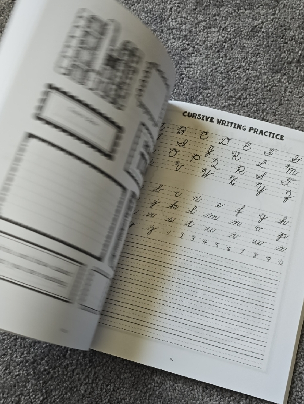 Minecraft 'All About Pets' Fun Schooling Journal - Orange & Gray - Picture 10 of 16
